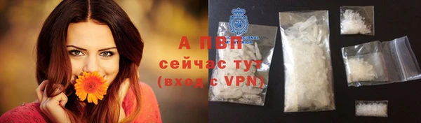 дживик Касимов