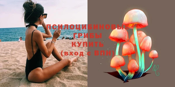 дживик Каменка