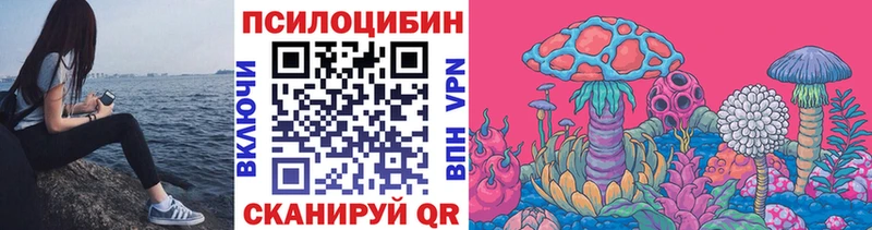 Псилоцибиновые грибы Psilocybe Купить Барыш
