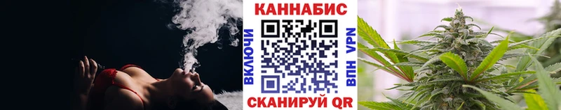 Купить  Барыш  Конопля сатива 